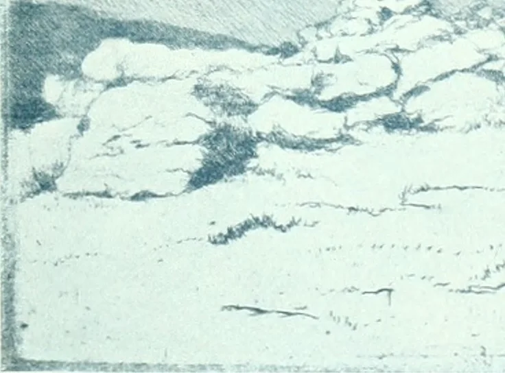 An illustration from Acquafortisti italiani; reccolta di acqueforti, acquetine, puntesecche, maniera nera, di 150 artisti. Acquafortistes italiens; recueil de eauxfortes, acqua-tintas, pointes-sèches, façon noire, de 150 artistes, 1922, leaf 80
