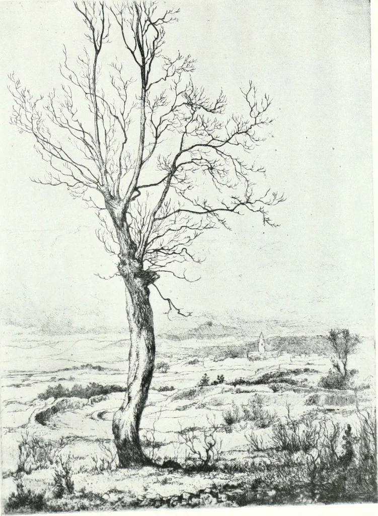 An illustration from Acquafortisti italiani; reccolta di acqueforti, acquetine, puntesecche, maniera nera, di 150 artisti. Acquafortistes italiens; recueil de eauxfortes, acqua-tintas, pointes-sèches, façon noire, de 150 artistes, 1922, leaf 88