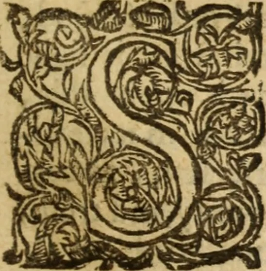 An illustration from The anatomy of secret sins, presumptuous sins, sins in dominion, & uprightness ... Together with the remissibleness of all sin, and the irremissibleness of the sin against the Holy Ghost .., 1660, leaf 12