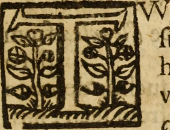 An illustration from The anatomy of secret sins, presumptuous sins, sins in dominion, & uprightness ... Together with the remissibleness of all sin, and the irremissibleness of the sin against the Holy Ghost .., 1660, leaf 310