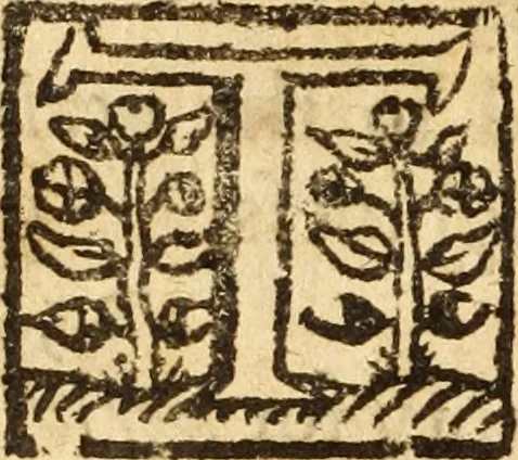 An illustration from The anatomy of secret sins, presumptuous sins, sins in dominion, & uprightness ... Together with the remissibleness of all sin, and the irremissibleness of the sin against the Holy Ghost .., 1660, leaf 325