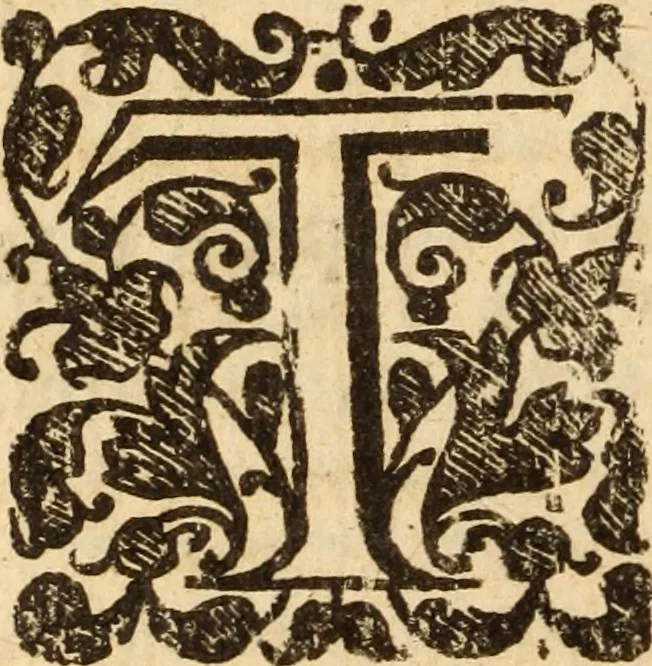 An illustration from The anatomy of secret sins, presumptuous sins, sins in dominion, & uprightness ... Together with the remissibleness of all sin, and the irremissibleness of the sin against the Holy Ghost .., 1660, leaf 51