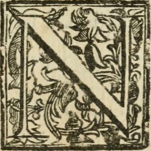 An illustration from Acta canonizationis S. Petri de Alcantara et S. Mariae Magdalenae de Pazzis, 1669, leaf 10
