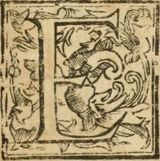 An illustration from Acta canonizationis S. Petri de Alcantara et S. Mariae Magdalenae de Pazzis, 1669, leaf 14