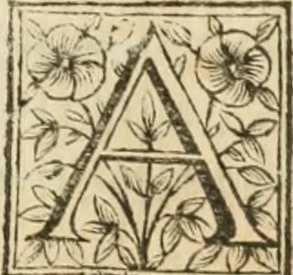 An illustration from Acta canonizationis S. Petri de Alcantara et S. Mariae Magdalenae de Pazzis, 1669, leaf 382