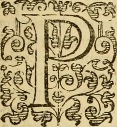 An illustration from Acta Synodi nationalis, in nomine Domini nostri Iesu Christi .., 1620, leaf 14