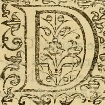 An illustration from Acta Synodi nationalis, in nomine Domini nostri Iesu Christi .., 1620, leaf 408