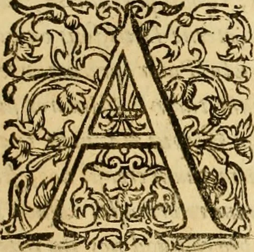 An illustration from Acta Synodi nationalis, in nomine Domini nostri Iesu Christi .., 1620, leaf 46