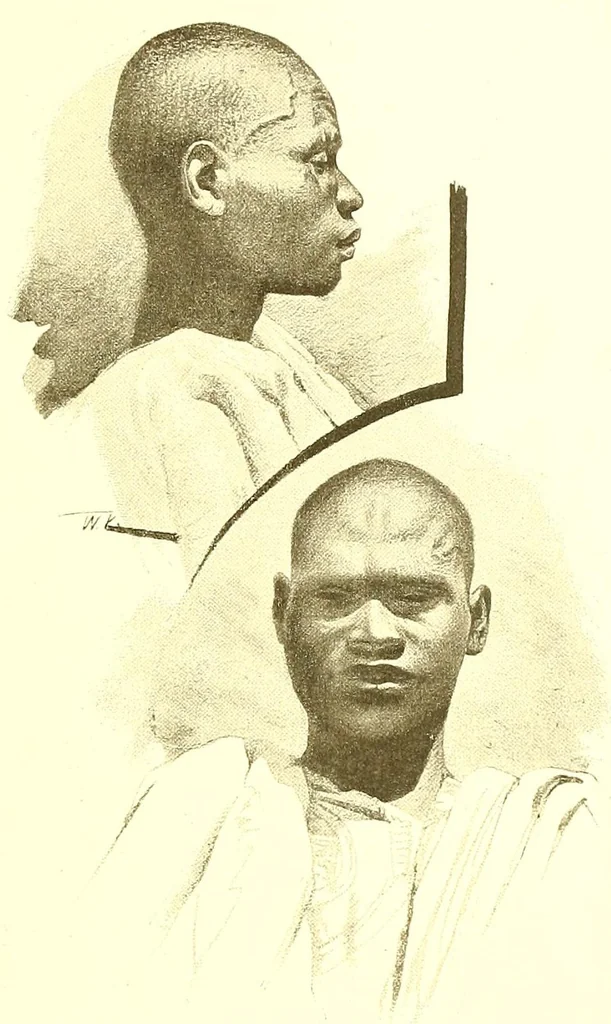 An illustration from Adamaua. Bericht über die Expedition des Deutschen Kamerun-Komitees in den Jahren 1893/94, 1895, leaf 125