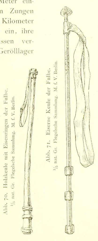 An illustration from Adamaua. Bericht über die Expedition des Deutschen Kamerun-Komitees in den Jahren 1893/94, 1895, leaf 165
