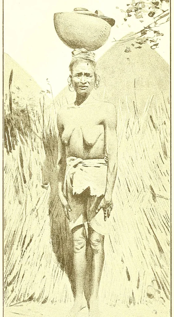An illustration from Adamaua. Bericht über die Expedition des Deutschen Kamerun-Komitees in den Jahren 1893/94, 1895, leaf 212