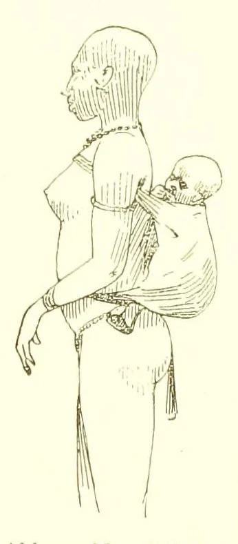 An illustration from Adamaua. Bericht über die Expedition des Deutschen Kamerun-Komitees in den Jahren 1893/94, 1895, leaf 223