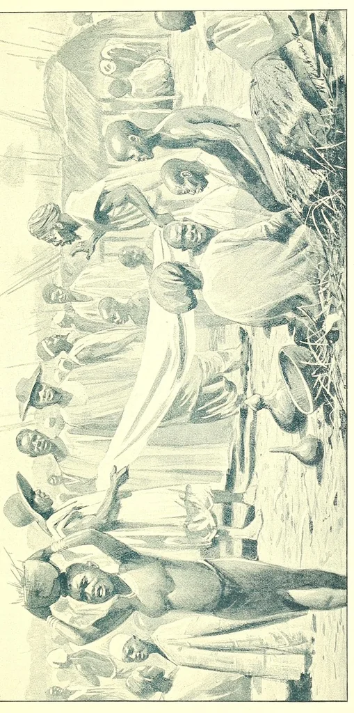 An illustration from Adamaua. Bericht über die Expedition des Deutschen Kamerun-Komitees in den Jahren 1893/94, 1895, leaf 291