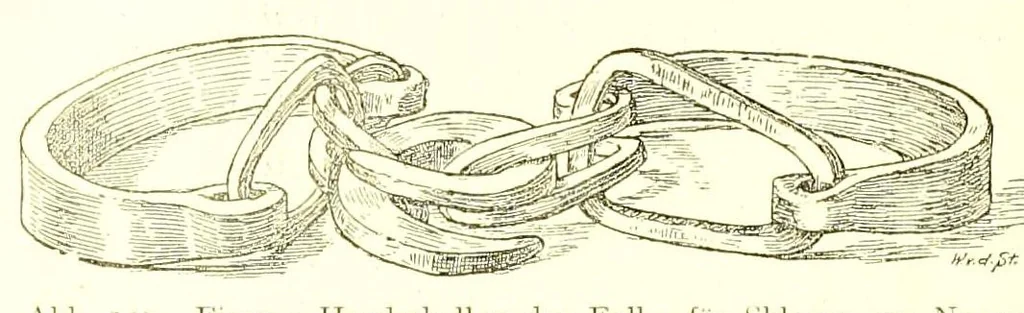 An illustration from Adamaua. Bericht über die Expedition des Deutschen Kamerun-Komitees in den Jahren 1893/94, 1895, leaf 316