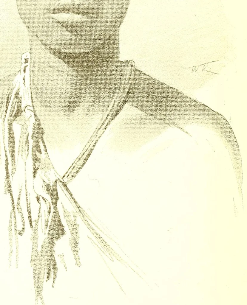 An illustration from Adamaua. Bericht über die Expedition des Deutschen Kamerun-Komitees in den Jahren 1893/94, 1895, leaf 446