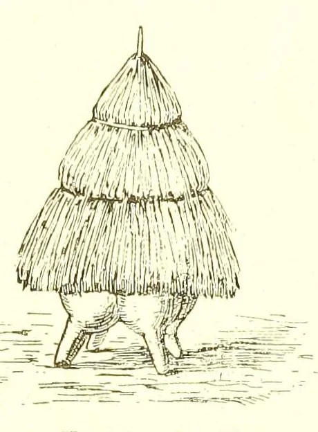 An illustration from Adamaua. Bericht über die Expedition des Deutschen Kamerun-Komitees in den Jahren 1893/94, 1895, leaf 52
