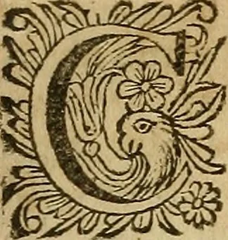An illustration from Adenographia : sive glandularum totius corporis descriptio, 1659, leaf 30