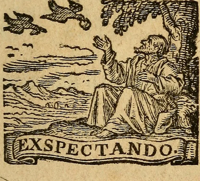An illustration from Adenographia : sive glandularum totius corporis descriptio, 1659, leaf 6