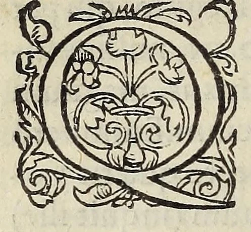 An illustration from Ad Franc. Hotomani Franco-Galliam Antonii Matharelli ... responsio : in qua agitur de initio Regni Fra[n]ciae, successione regum, publicis negotiis, & politia, ex fide Annalium nostrorum, Germaniaeque, & aliarum gentium, Graecísque & Latinis scriptoribus., 1575, leaf 104