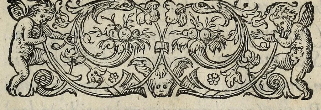 An illustration from Ad Franc. Hotomani Franco-Galliam Antonii Matharelli ... responsio : in qua agitur de initio Regni Fra[n]ciae, successione regum, publicis negotiis, & politia, ex fide Annalium nostrorum, Germaniaeque, & aliarum gentium, Graecísque & Latinis scriptoribus., 1575, leaf 11