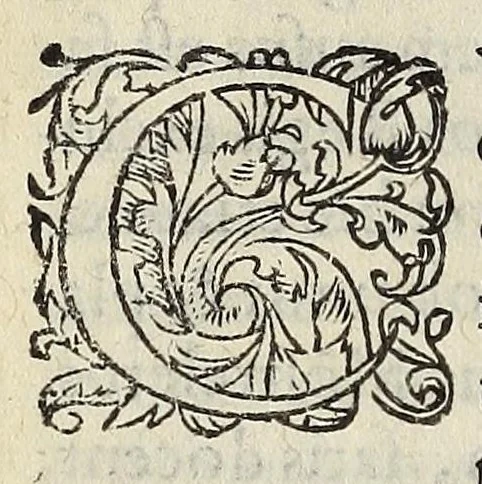 An illustration from Ad Franc. Hotomani Franco-Galliam Antonii Matharelli ... responsio : in qua agitur de initio Regni Fra[n]ciae, successione regum, publicis negotiis, & politia, ex fide Annalium nostrorum, Germaniaeque, & aliarum gentium, Graecísque & Latinis scriptoribus., 1575, leaf 118