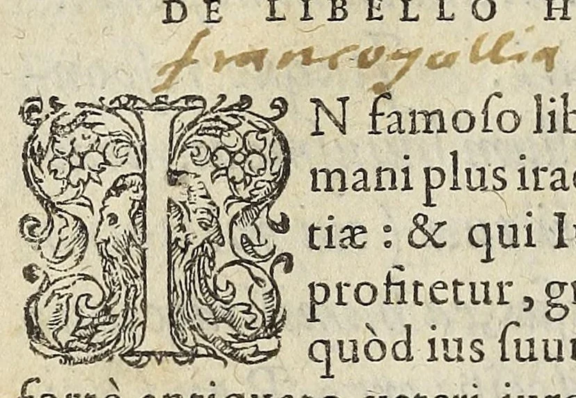An illustration from Ad Franc. Hotomani Franco-Galliam Antonii Matharelli ... responsio : in qua agitur de initio Regni Fra[n]ciae, successione regum, publicis negotiis, & politia, ex fide Annalium nostrorum, Germaniaeque, & aliarum gentium, Graecísque & Latinis scriptoribus., 1575, leaf 14