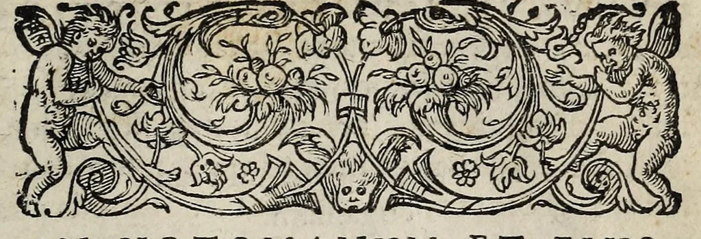 An illustration from Ad Franc. Hotomani Franco-Galliam Antonii Matharelli ... responsio : in qua agitur de initio Regni Fra[n]ciae, successione regum, publicis negotiis, & politia, ex fide Annalium nostrorum, Germaniaeque, & aliarum gentium, Graecísque & Latinis scriptoribus., 1575, leaf 173
