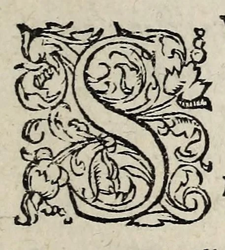 An illustration from Ad Franc. Hotomani Franco-Galliam Antonii Matharelli ... responsio : in qua agitur de initio Regni Fra[n]ciae, successione regum, publicis negotiis, & politia, ex fide Annalium nostrorum, Germaniaeque, & aliarum gentium, Graecísque & Latinis scriptoribus., 1575, leaf 173