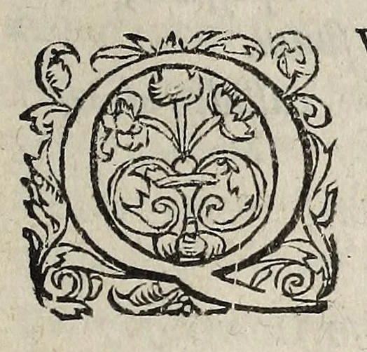 An illustration from Ad Franc. Hotomani Franco-Galliam Antonii Matharelli ... responsio : in qua agitur de initio Regni Fra[n]ciae, successione regum, publicis negotiis, & politia, ex fide Annalium nostrorum, Germaniaeque, & aliarum gentium, Graecísque & Latinis scriptoribus., 1575, leaf 179