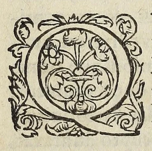 An illustration from Ad Franc. Hotomani Franco-Galliam Antonii Matharelli ... responsio : in qua agitur de initio Regni Fra[n]ciae, successione regum, publicis negotiis, & politia, ex fide Annalium nostrorum, Germaniaeque, & aliarum gentium, Graecísque & Latinis scriptoribus., 1575, leaf 22