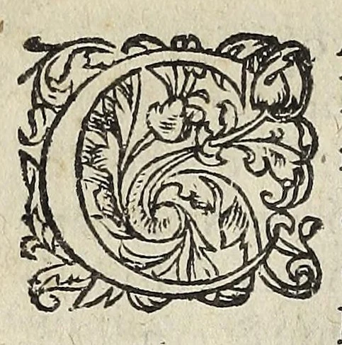 An illustration from Ad Franc. Hotomani Franco-Galliam Antonii Matharelli ... responsio : in qua agitur de initio Regni Fra[n]ciae, successione regum, publicis negotiis, & politia, ex fide Annalium nostrorum, Germaniaeque, & aliarum gentium, Graecísque & Latinis scriptoribus., 1575, leaf 28