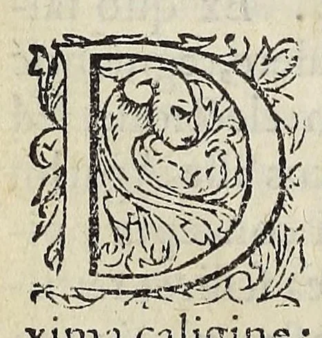 An illustration from Ad Franc. Hotomani Franco-Galliam Antonii Matharelli ... responsio : in qua agitur de initio Regni Fra[n]ciae, successione regum, publicis negotiis, & politia, ex fide Annalium nostrorum, Germaniaeque, & aliarum gentium, Graecísque & Latinis scriptoribus., 1575, leaf 56