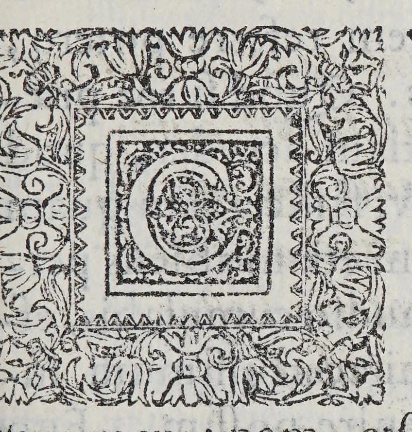 An illustration from Ad Illustriss. et Reverendiss. D.D. Augustinum Valerium, TT. S. Marci S.R.E. cardinalem Episcopumq. Veronae Ampliss., 1586, leaf 9