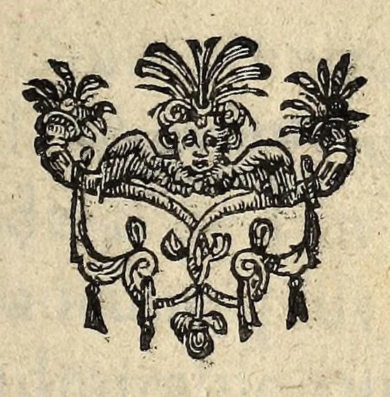 An illustration from Admirable et prodigieuse mort de Henry de Valoys., 1589, leaf 13
