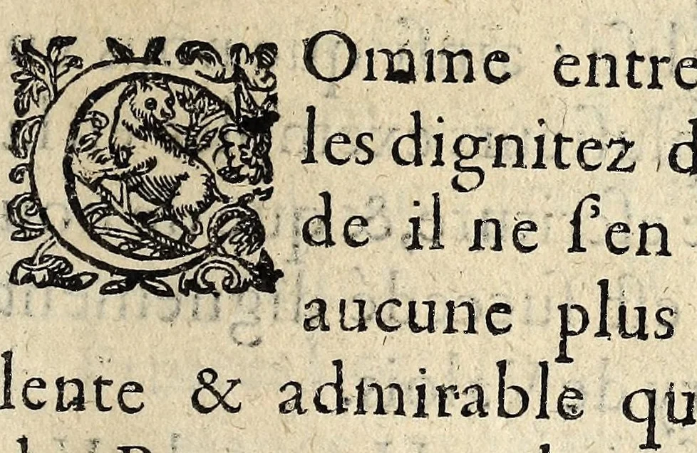 An illustration from Admirable et prodigieuse mort de Henry de Valoys., 1589, leaf 15