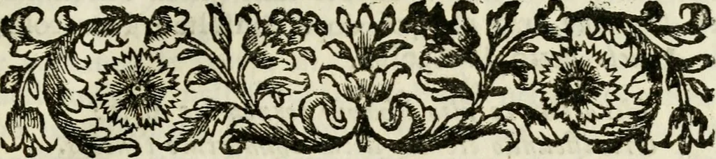 An illustration from Admiranda antiquitatum Herculanensium descripta et illustrata ad annum MDCCL, 1752, leaf 24
