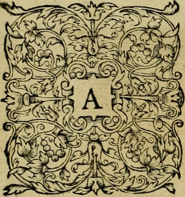 An illustration from Admiranda narratio fida tamen, de commodis et incolarvm ritibvs Virginiæ : nvper admodvm ab Anglis, qvi à Dn. Richardo Greinvile equestris ordinis viro eò in coloniam anno M.D. LXXXV. dedvcti svnt inventæ, svmtus faciente Dn. VValtero Raleigh equestris ordinis viro fodinarv stanni præfecto ex avctoritate serenissimæ reginæ Angliæ, 1590, leaf 101