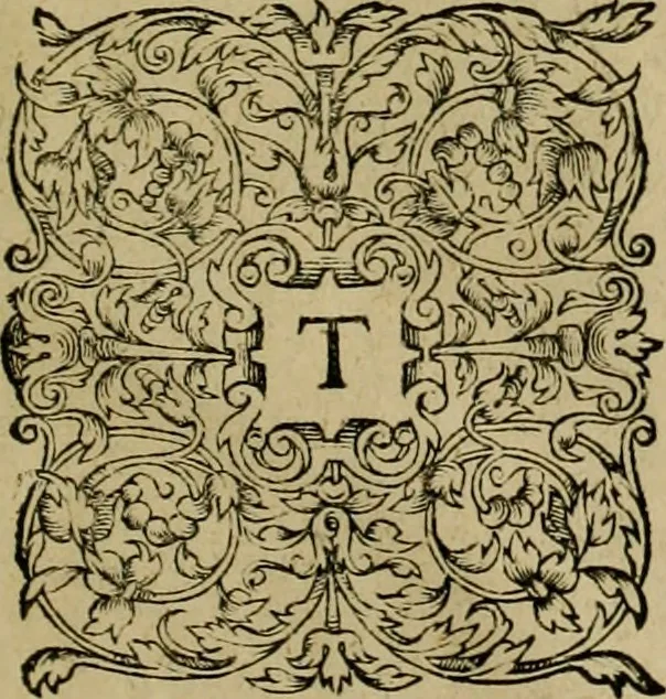 An illustration from Admiranda narratio fida tamen, de commodis et incolarvm ritibvs Virginiæ : nvper admodvm ab Anglis, qvi à Dn. Richardo Greinvile equestris ordinis viro eò in coloniam anno M.D. LXXXV. dedvcti svnt inventæ, svmtus faciente Dn. VValtero Raleigh equestris ordinis viro fodinarv stanni præfecto ex avctoritate serenissimæ reginæ Angliæ, 1590, leaf 104