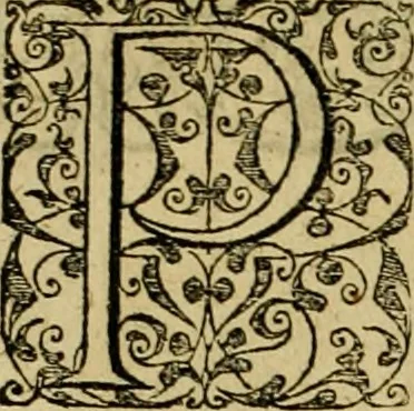An illustration from Admiranda narratio fida tamen, de commodis et incolarvm ritibvs Virginiæ : nvper admodvm ab Anglis, qvi à Dn. Richardo Greinvile equestris ordinis viro eò in coloniam anno M.D. LXXXV. dedvcti svnt inventæ, svmtus faciente Dn. VValtero Raleigh equestris ordinis viro fodinarv stanni præfecto ex avctoritate serenissimæ reginæ Angliæ, 1590, leaf 109