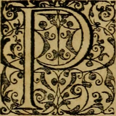 An illustration from Admiranda narratio fida tamen, de commodis et incolarvm ritibvs Virginiæ : nvper admodvm ab Anglis, qvi à Dn. Richardo Greinvile equestris ordinis viro eò in coloniam anno M.D. LXXXV. dedvcti svnt inventæ, svmtus faciente Dn. VValtero Raleigh equestris ordinis viro fodinarv stanni præfecto ex avctoritate serenissimæ reginæ Angliæ, 1590, leaf 16