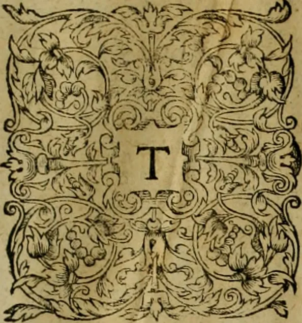 An illustration from Admiranda narratio fida tamen, de commodis et incolarvm ritibvs Virginiæ : nvper admodvm ab Anglis, qvi à Dn. Richardo Greinvile equestris ordinis viro eò in coloniam anno M.D. LXXXV. dedvcti svnt inventæ, svmtus faciente Dn. VValtero Raleigh equestris ordinis viro fodinarv stanni præfecto ex avctoritate serenissimæ reginæ Angliæ, 1590, leaf 44