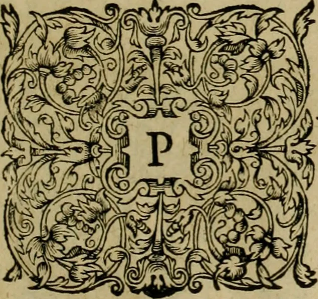 An illustration from Admiranda narratio fida tamen, de commodis et incolarvm ritibvs Virginiæ : nvper admodvm ab Anglis, qvi à Dn. Richardo Greinvile equestris ordinis viro eò in coloniam anno M.D. LXXXV. dedvcti svnt inventæ, svmtus faciente Dn. VValtero Raleigh equestris ordinis viro fodinarv stanni præfecto ex avctoritate serenissimæ reginæ Angliæ, 1590, leaf 52