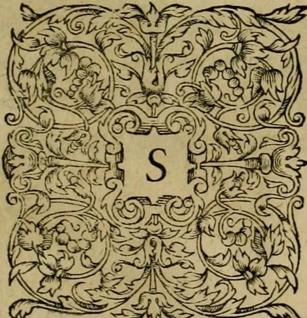 An illustration from Admiranda narratio fida tamen, de commodis et incolarvm ritibvs Virginiæ : nvper admodvm ab Anglis, qvi à Dn. Richardo Greinvile equestris ordinis viro eò in coloniam anno M.D. LXXXV. dedvcti svnt inventæ, svmtus faciente Dn. VValtero Raleigh equestris ordinis viro fodinarv stanni præfecto ex avctoritate serenissimæ reginæ Angliæ, 1590, leaf 54