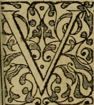 An illustration from Admiranda narratio fida tamen, de commodis et incolarvm ritibvs Virginiæ : nvper admodvm ab Anglis, qvi à Dn. Richardo Greinvile equestris ordinis viro eò in coloniam anno M.D. LXXXV. dedvcti svnt inventæ, svmtus faciente Dn. VValtero Raleigh equestris ordinis viro fodinarv stanni præfecto ex avctoritate serenissimæ reginæ Angliæ, 1590, leaf 58