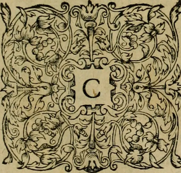 An illustration from Admiranda narratio fida tamen, de commodis et incolarvm ritibvs Virginiæ : nvper admodvm ab Anglis, qvi à Dn. Richardo Greinvile equestris ordinis viro eò in coloniam anno M.D. LXXXV. dedvcti svnt inventæ, svmtus faciente Dn. VValtero Raleigh equestris ordinis viro fodinarv stanni præfecto ex avctoritate serenissimæ reginæ Angliæ, 1590, leaf 62