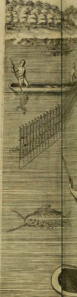 An illustration from Admiranda narratio fida tamen, de commodis et incolarvm ritibvs Virginiæ : nvper admodvm ab Anglis, qvi à Dn. Richardo Greinvile equestris ordinis viro eò in coloniam anno M.D. LXXXV. dedvcti svnt inventæ, svmtus faciente Dn. VValtero Raleigh equestris ordinis viro fodinarv stanni præfecto ex avctoritate serenissimæ reginæ Angliæ, 1590, leaf 73
