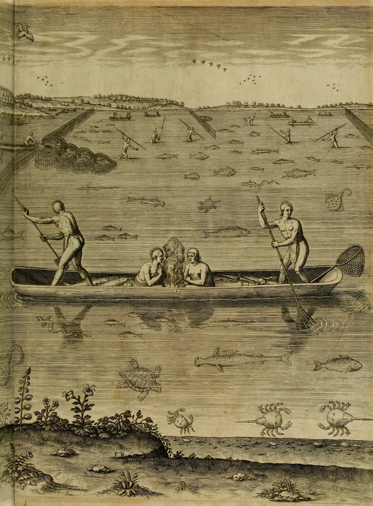 An illustration from Admiranda narratio fida tamen, de commodis et incolarvm ritibvs Virginiæ : nvper admodvm ab Anglis, qvi à Dn. Richardo Greinvile equestris ordinis viro eò in coloniam anno M.D. LXXXV. dedvcti svnt inventæ, svmtus faciente Dn. VValtero Raleigh equestris ordinis viro fodinarv stanni præfecto ex avctoritate serenissimæ reginæ Angliæ, 1590, leaf 74