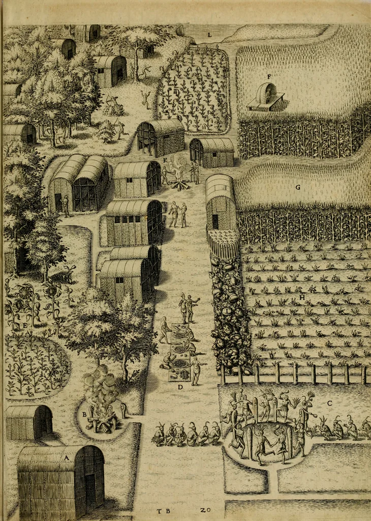 An illustration from Admiranda narratio fida tamen, de commodis et incolarvm ritibvs Virginiæ : nvper admodvm ab Anglis, qvi à Dn. Richardo Greinvile equestris ordinis viro eò in coloniam anno M.D. LXXXV. dedvcti svnt inventæ, svmtus faciente Dn. VValtero Raleigh equestris ordinis viro fodinarv stanni præfecto ex avctoritate serenissimæ reginæ Angliæ, 1590, leaf 96