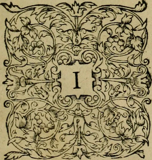 An illustration from Admiranda narratio fida tamen, de commodis et incolarvm ritibvs Virginiæ : nvper admodvm ab Anglis, qvi à Dn. Richardo Greinvile equestris ordinis viro eò in coloniam anno M.D. LXXXV. dedvcti svnt inventæ, svmtus faciente Dn. VValtero Raleigh equestris ordinis viro fodinarv stanni præfecto ex avctoritate serenissimæ reginæ Angliæ, 1590, leaf 98