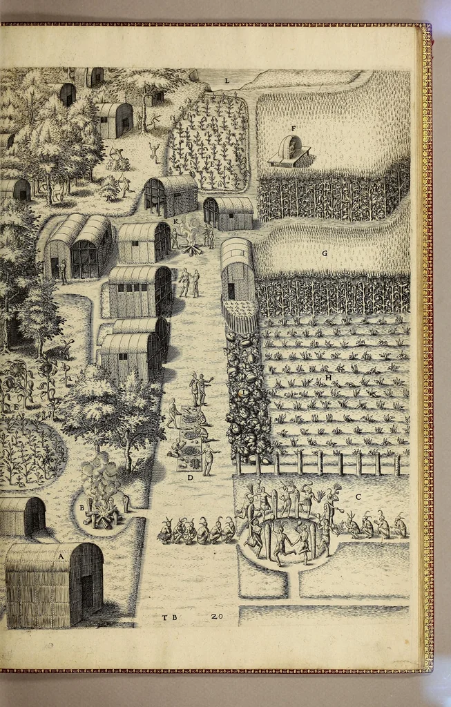 An illustration from Admiranda narratio fida tamen, de commodis et incolarum ritibus Virginiae, nuper admodum ab Anglis, qui à Dn. Richardo Greinvile equestris ordinis viro eò in coloniam anno M.D.LXXXV. : Deducti sunt inuentae, sumtus faciente Dn. VValtero Raleigh equestris ordinis viro fodinaru[m] stanni praefecto ex auctoritate serenissimae Reginae Angliae., 1608, leaf 101
